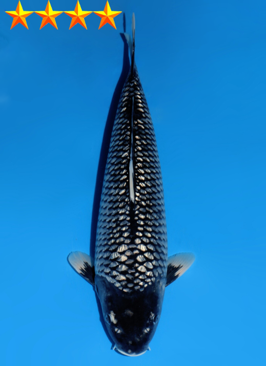 Qiziqarli jinsiy aloqa yashirin kamera video